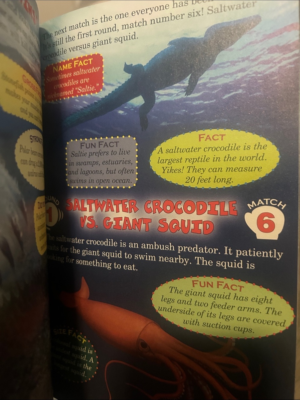 Scholastic Sharks Books Set - Picture 5 of 5